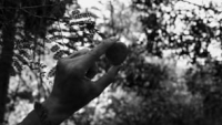 https://www.santiagoforero.com/files/dimgs/thumb_0x200_2_8_146.jpg