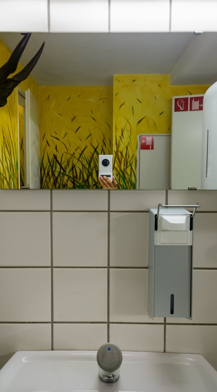 https://www.santiagoforero.com/files/gimgs/th-10_santiago-forero-selfies-in-restrooms-08.jpg