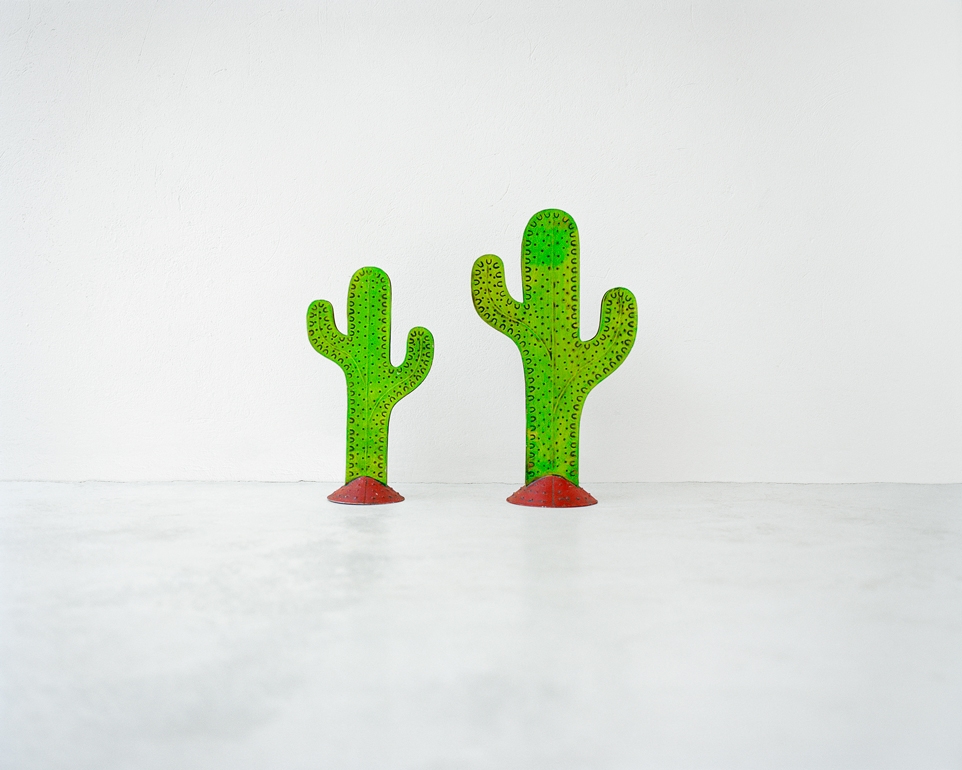 https://www.santiagoforero.com/files/gimgs/th-9_santiago-forero-story-about-friends-cacti.jpg